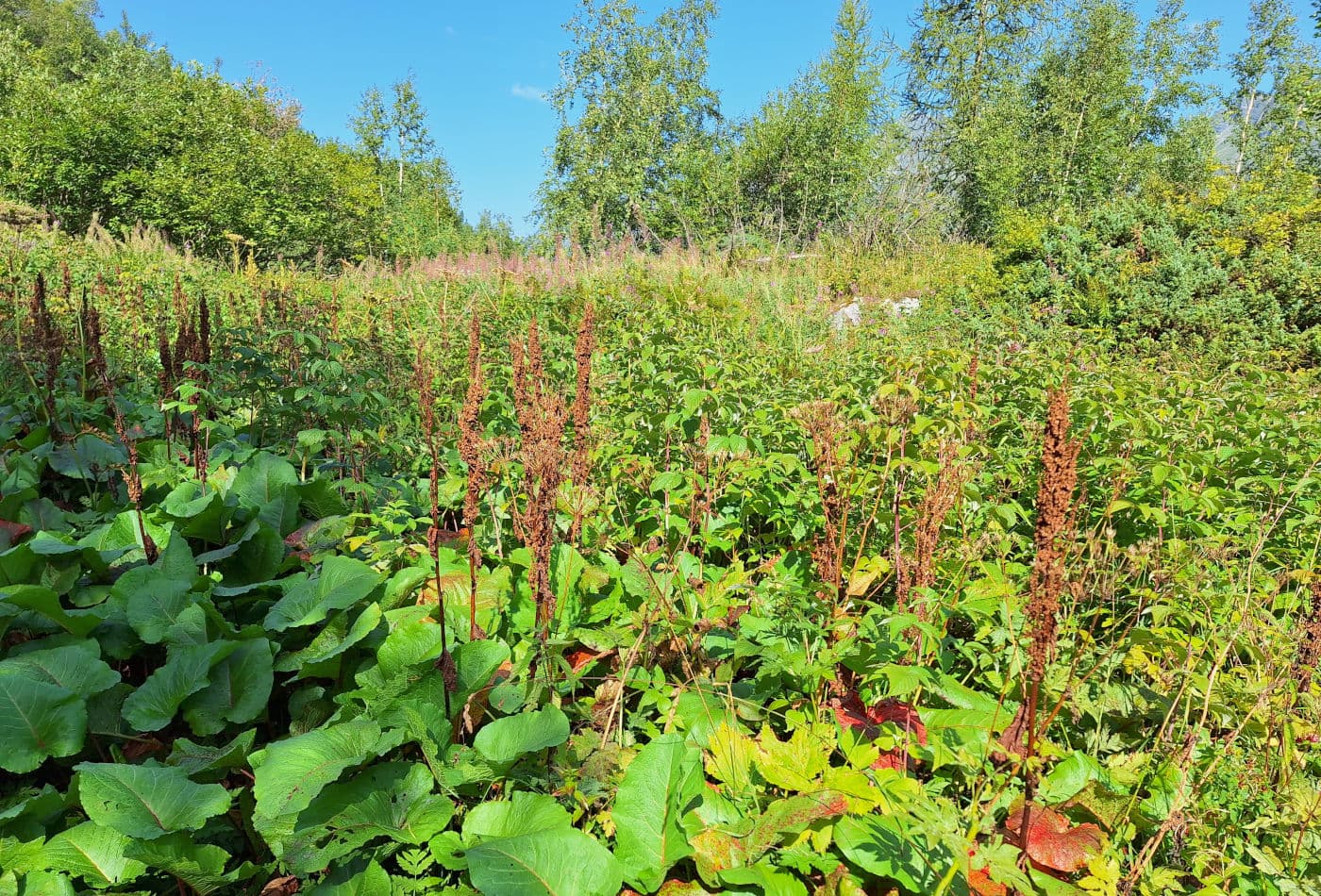 Via Ferrata des Dames Anglaises - photo 2