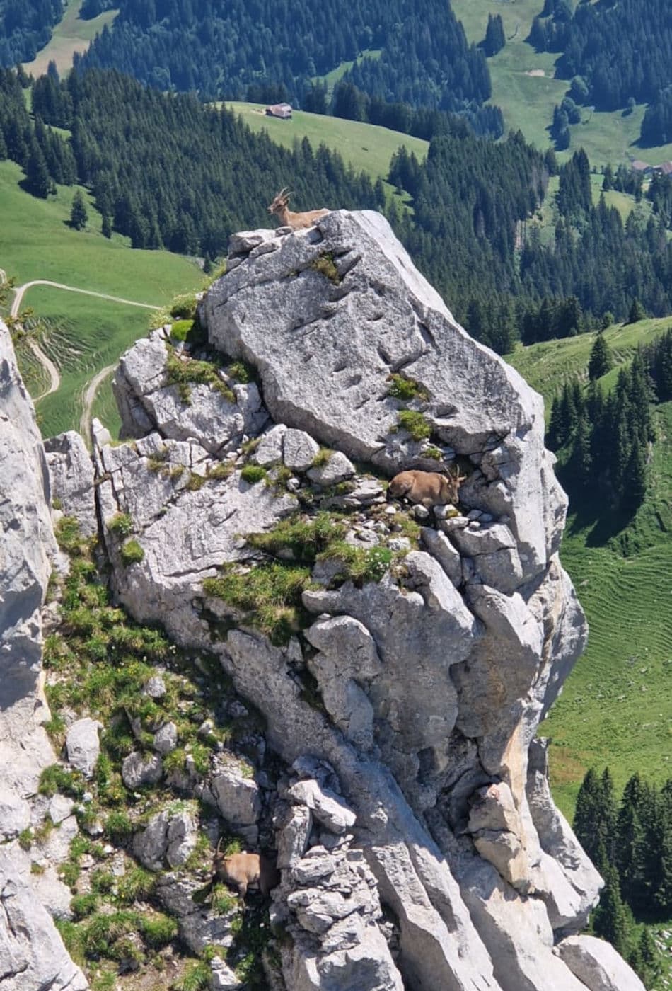 Via Ferrata Videmanette 1-2 - photo 4