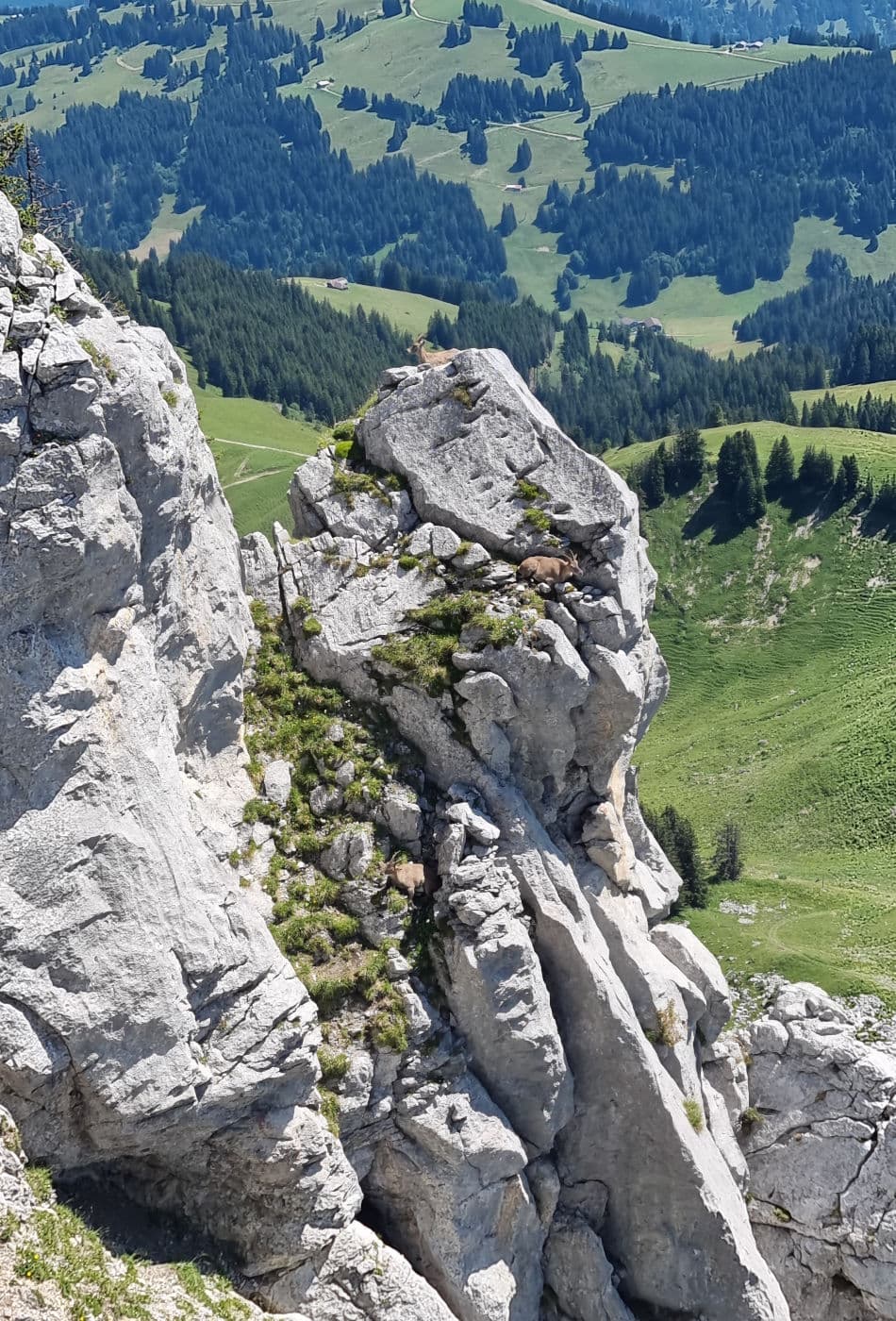 Via Ferrata Videmanette 3 - photo 2