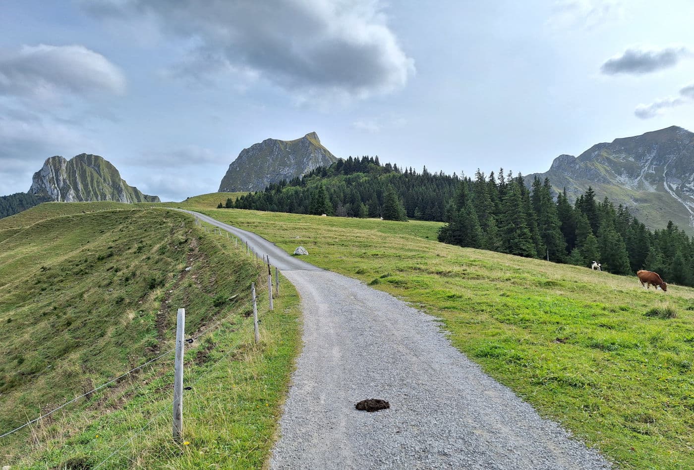 Via Ferrata Gantrisch - photo 1