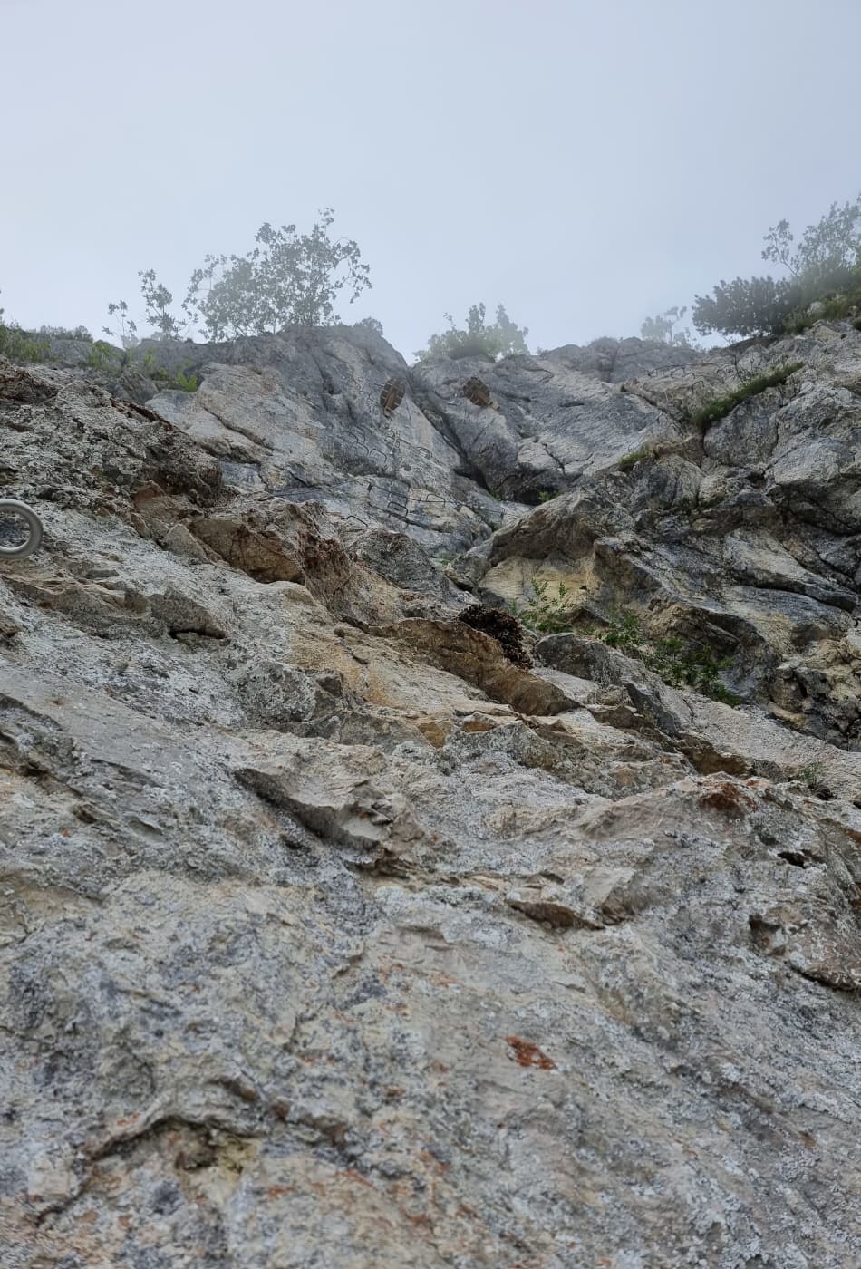 Charmey Plein vide II - photo 4