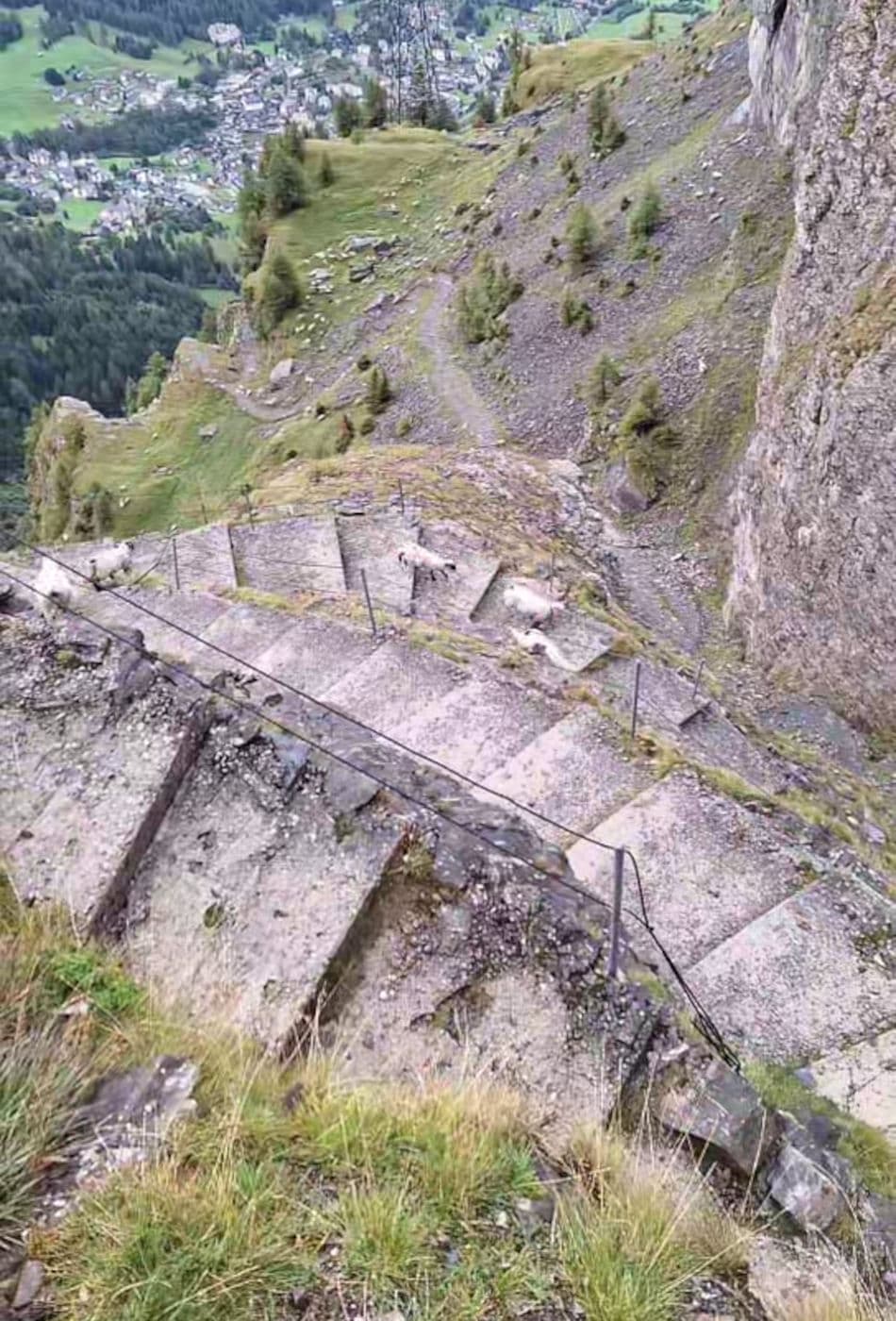 Via Ferrata Gemmi Daubenhorn - photo 2
